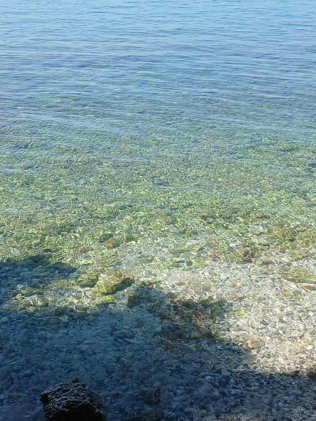 波雷奇Maestral公寓 外观 照片